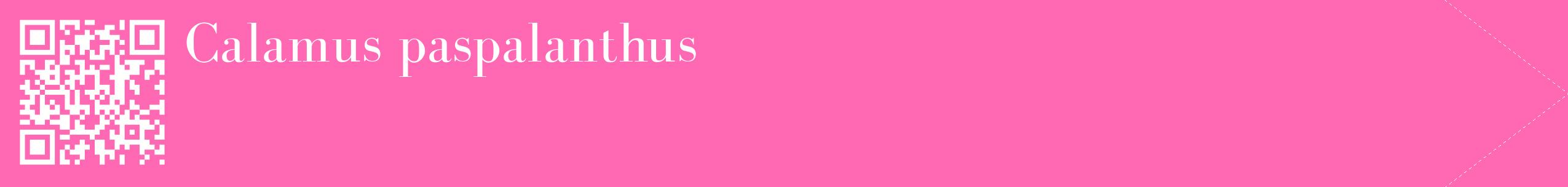 étiquette 2
