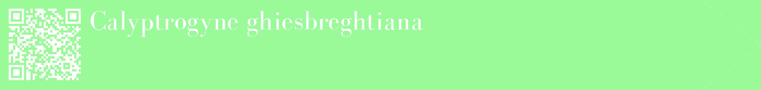 étiquette 2