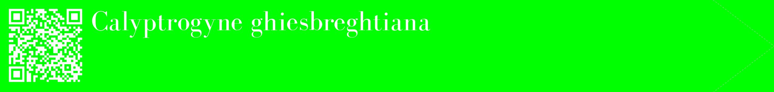 étiquette 2