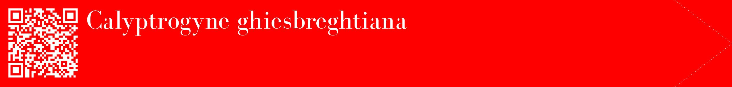 étiquette 2