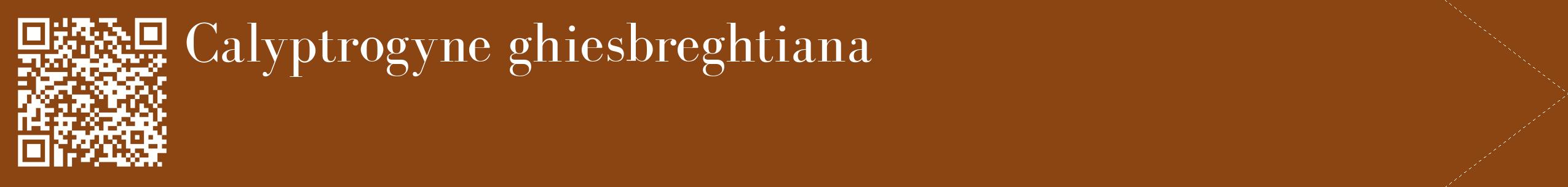 étiquette 2