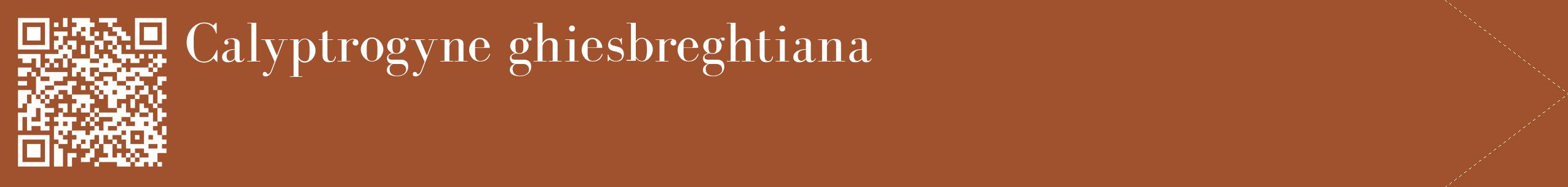 étiquette 2
