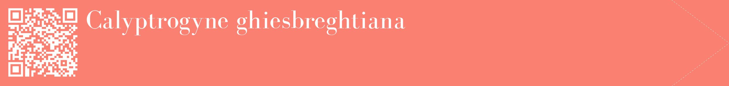 étiquette 2