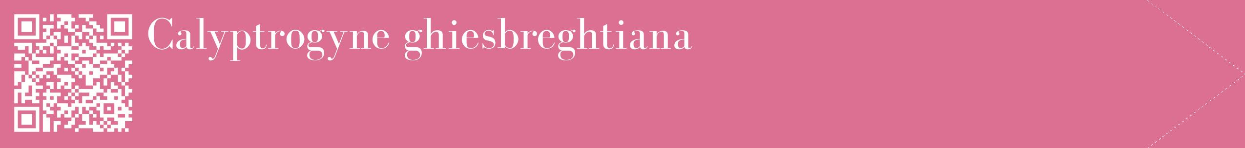 étiquette 2