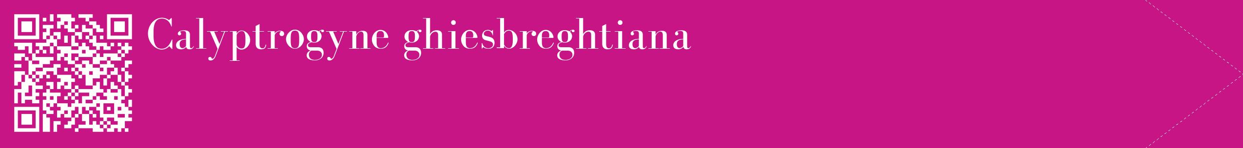 étiquette 2