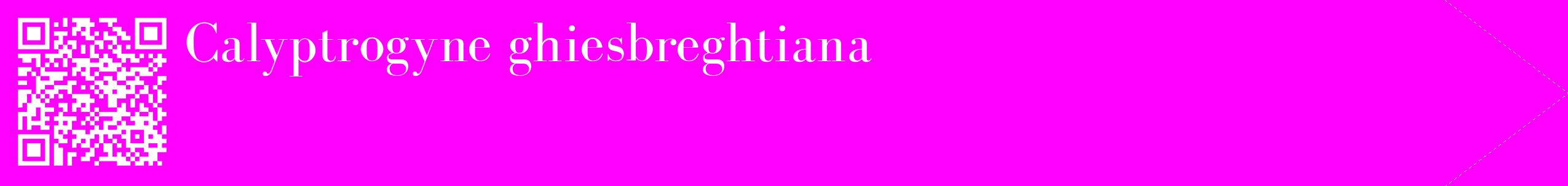 étiquette 2