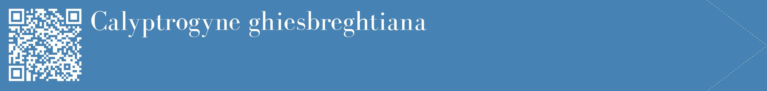 étiquette 2