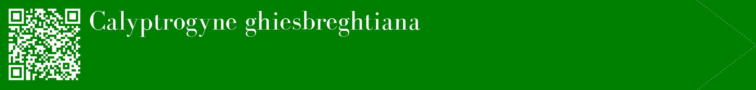étiquette 2