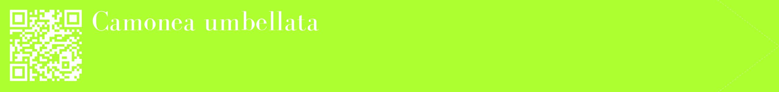 étiquette 2