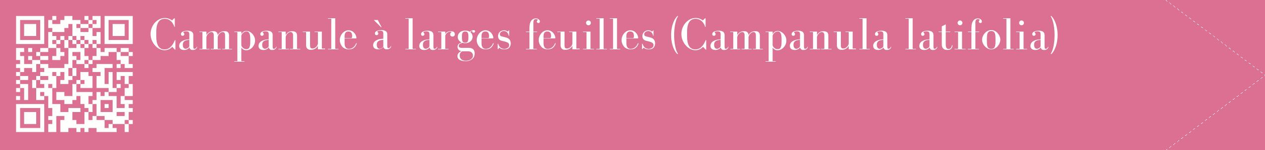 étiquette 2