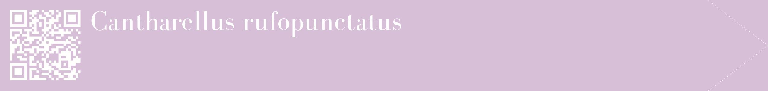 étiquette 2