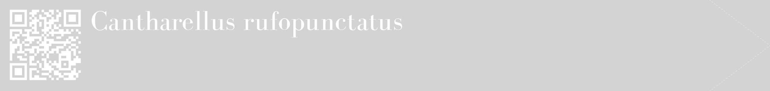 étiquette 2