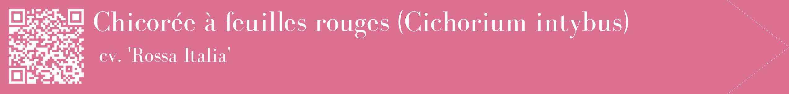 étiquette 2