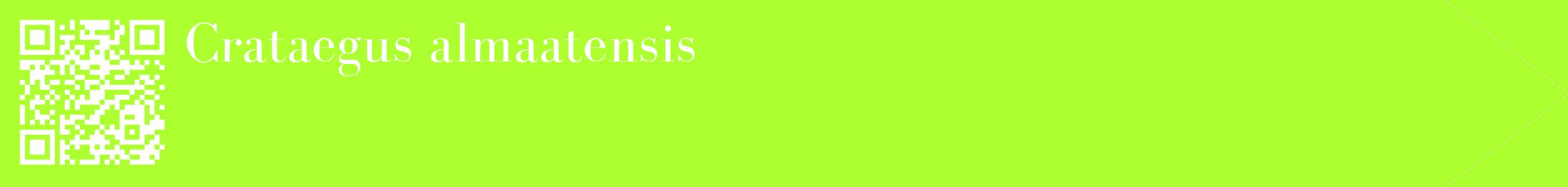 étiquette 2