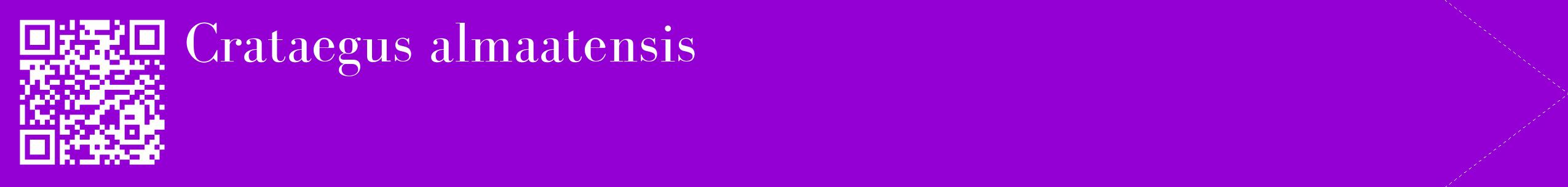 étiquette 2