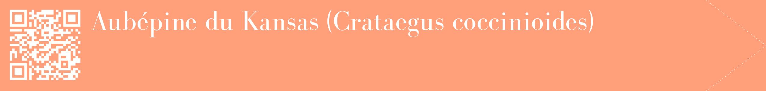 étiquette 2