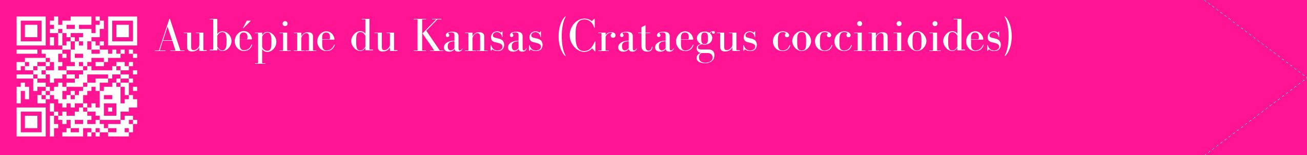 étiquette 2