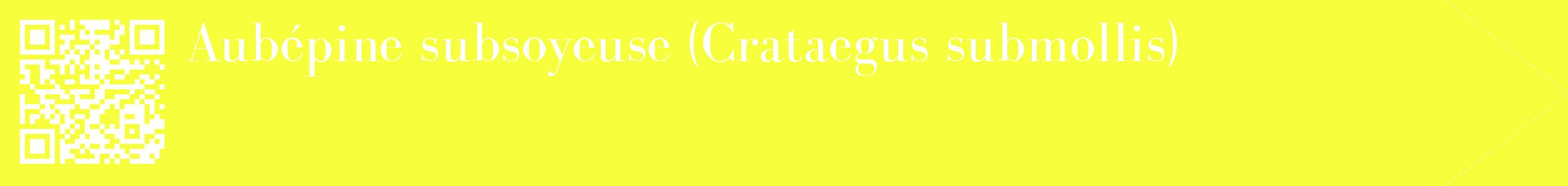 étiquette 2