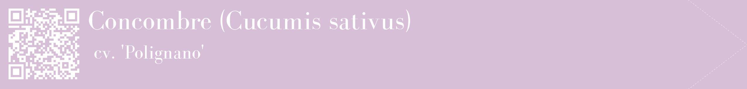 étiquette 2