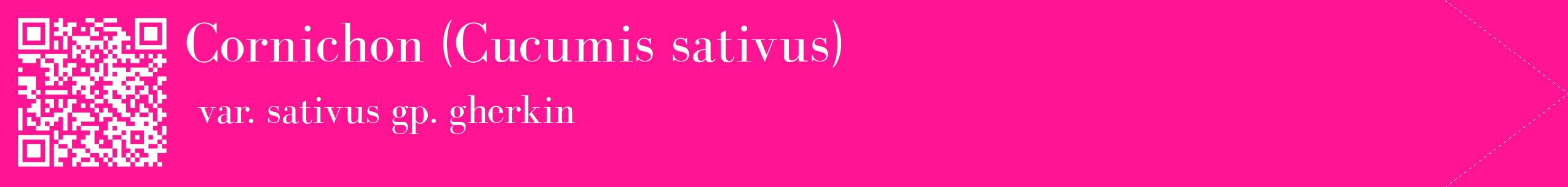 étiquette 2