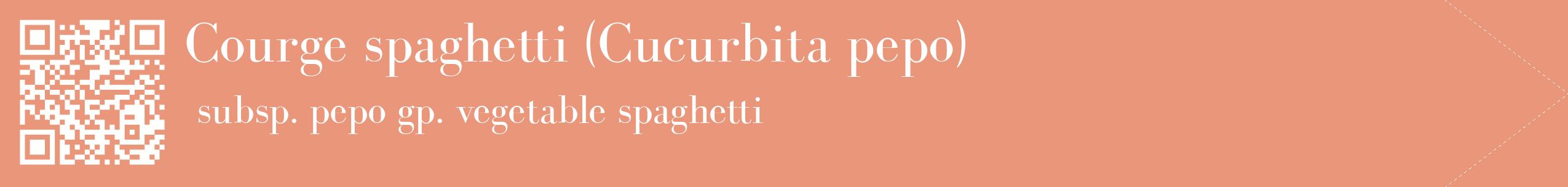 étiquette 2