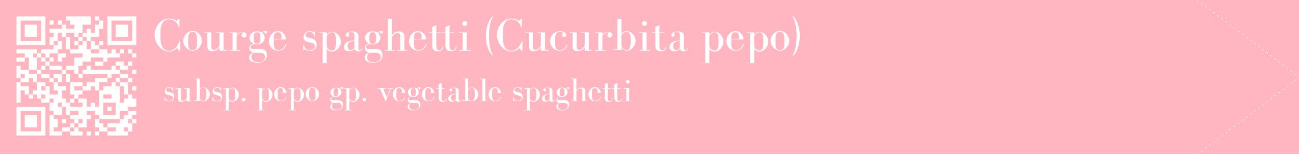 étiquette 2