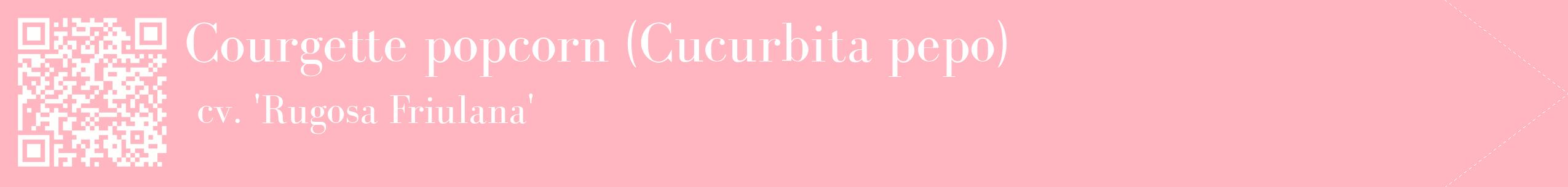 étiquette 2
