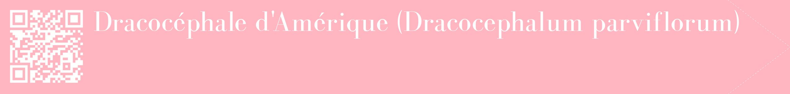 étiquette 2
