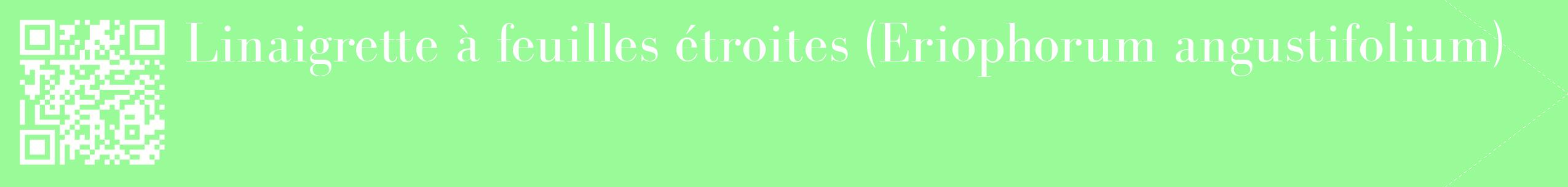 étiquette 2