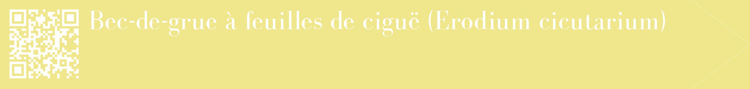étiquette 2