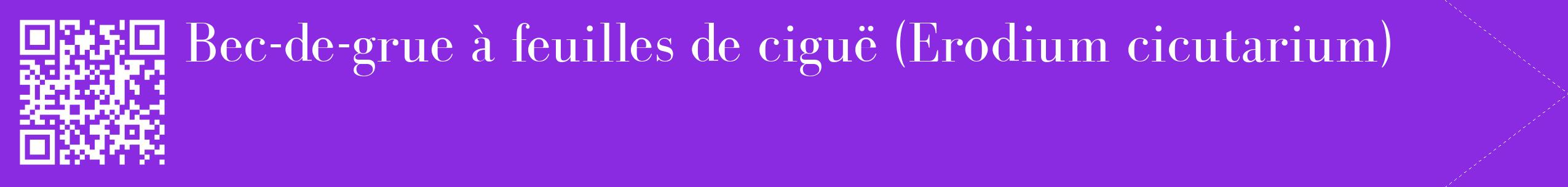 étiquette 2