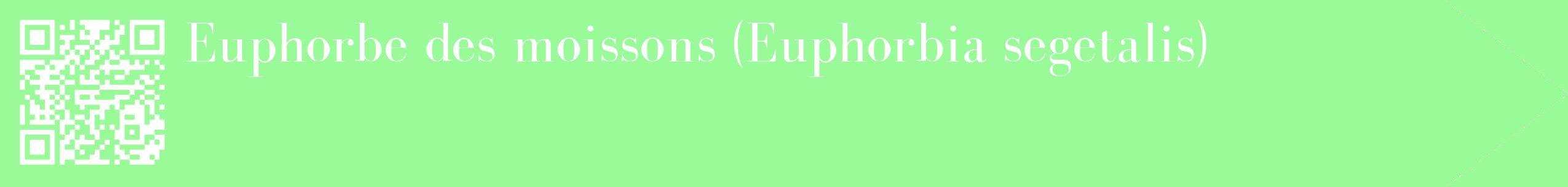 étiquette 2