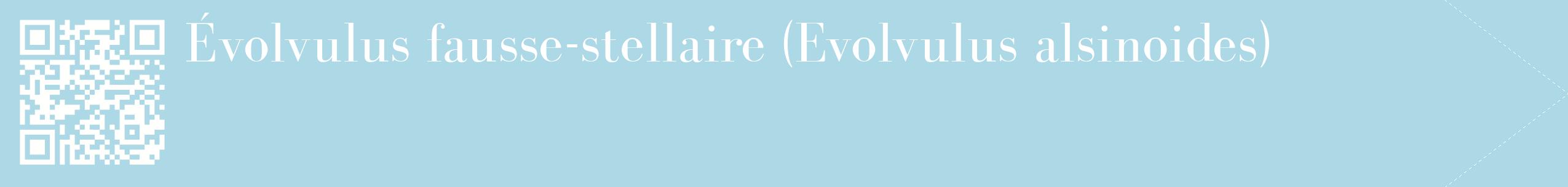 étiquette 2