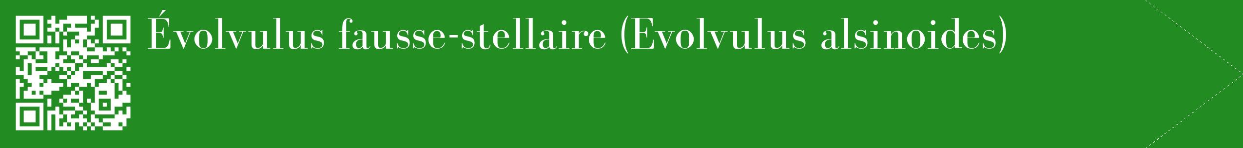 étiquette 2