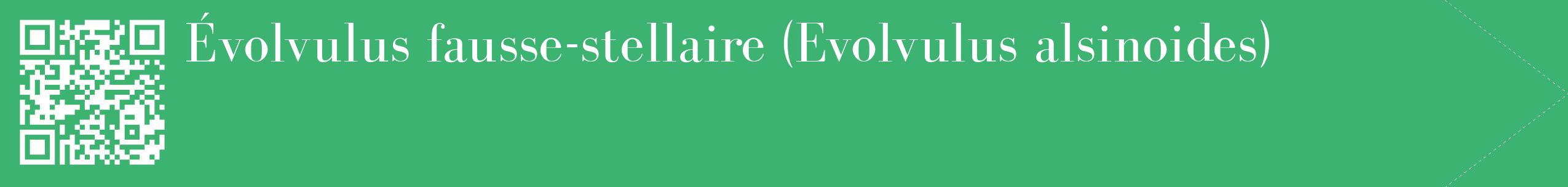 étiquette 2