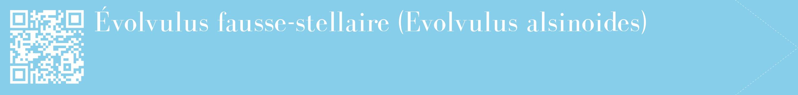 étiquette 2