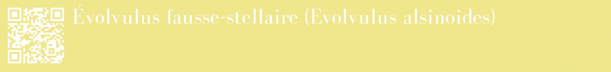 étiquette 2