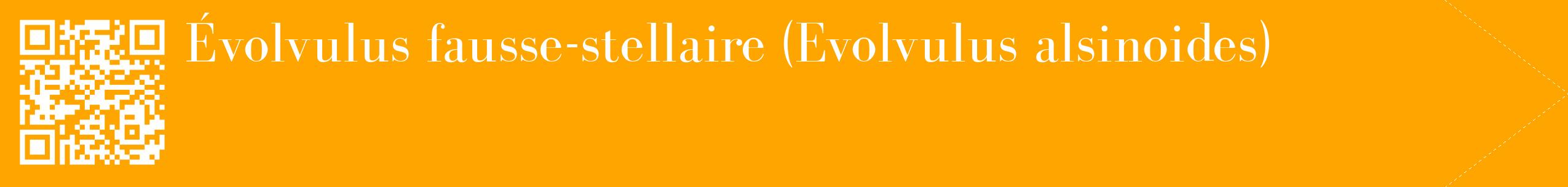 étiquette 2