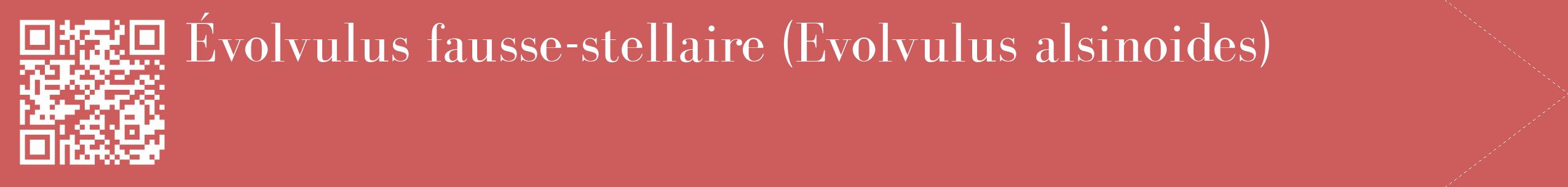 étiquette 2