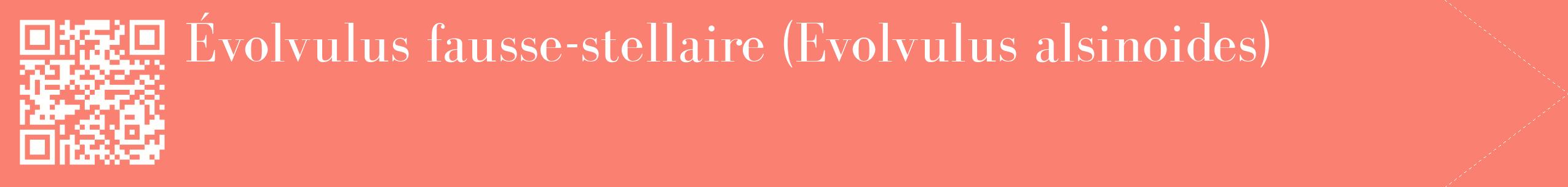 étiquette 2
