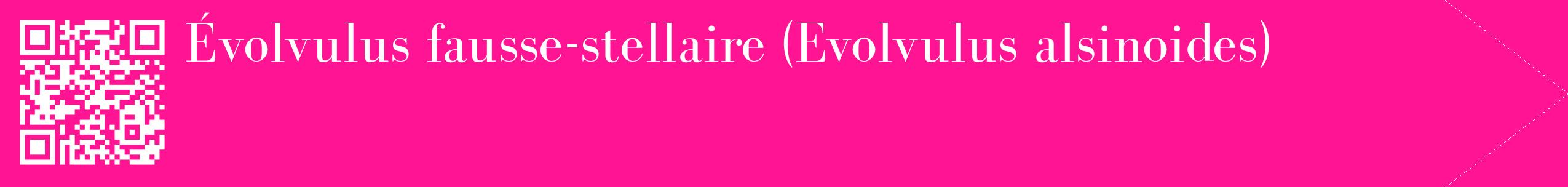 étiquette 2