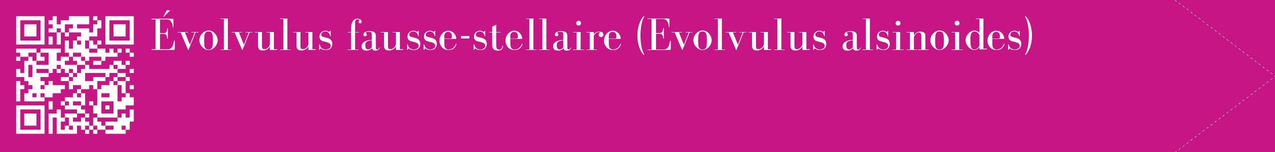 étiquette 2