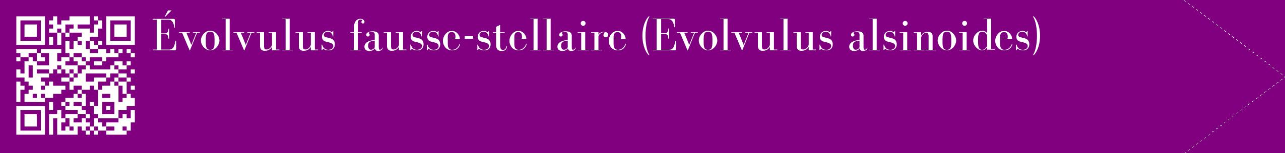 étiquette 2