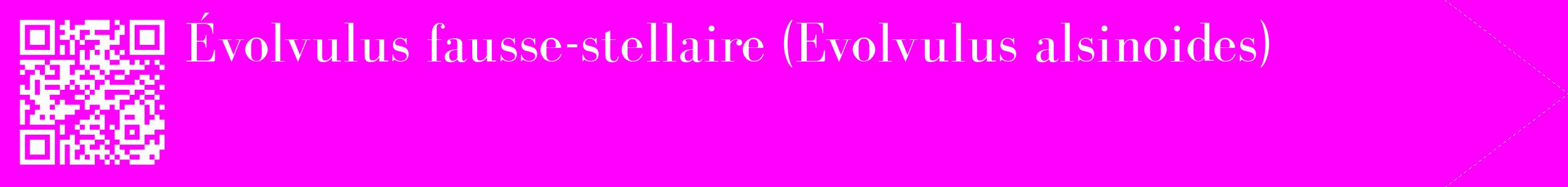 étiquette 2