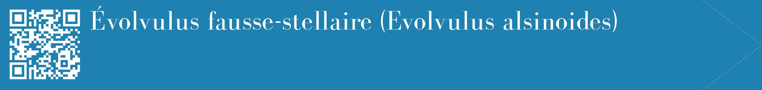 étiquette 2