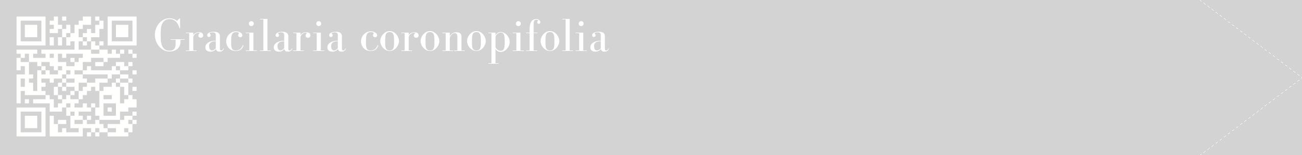 étiquette 2