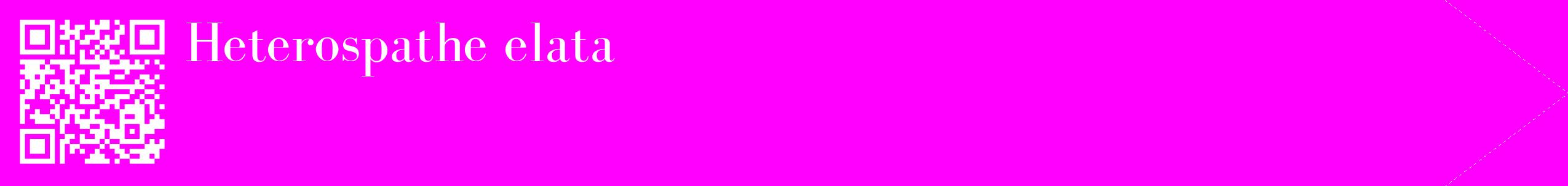 étiquette 2