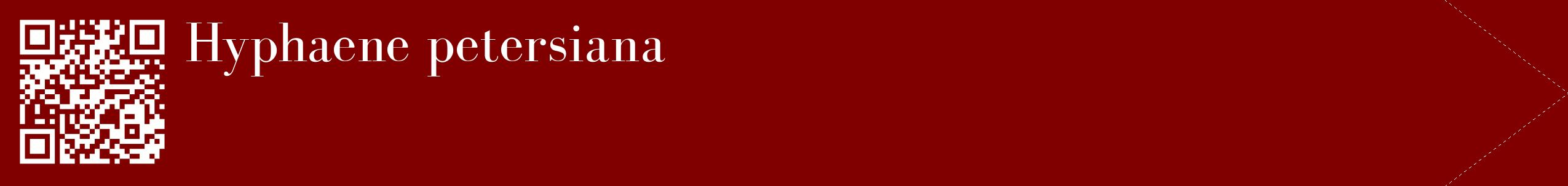 étiquette 2