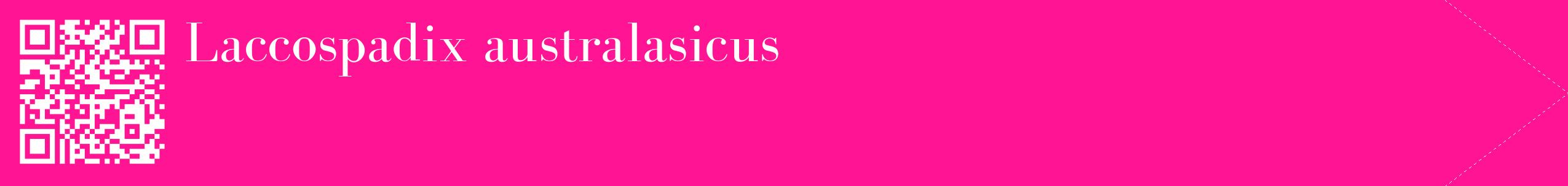 étiquette 2
