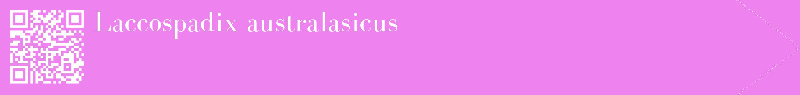 étiquette 2